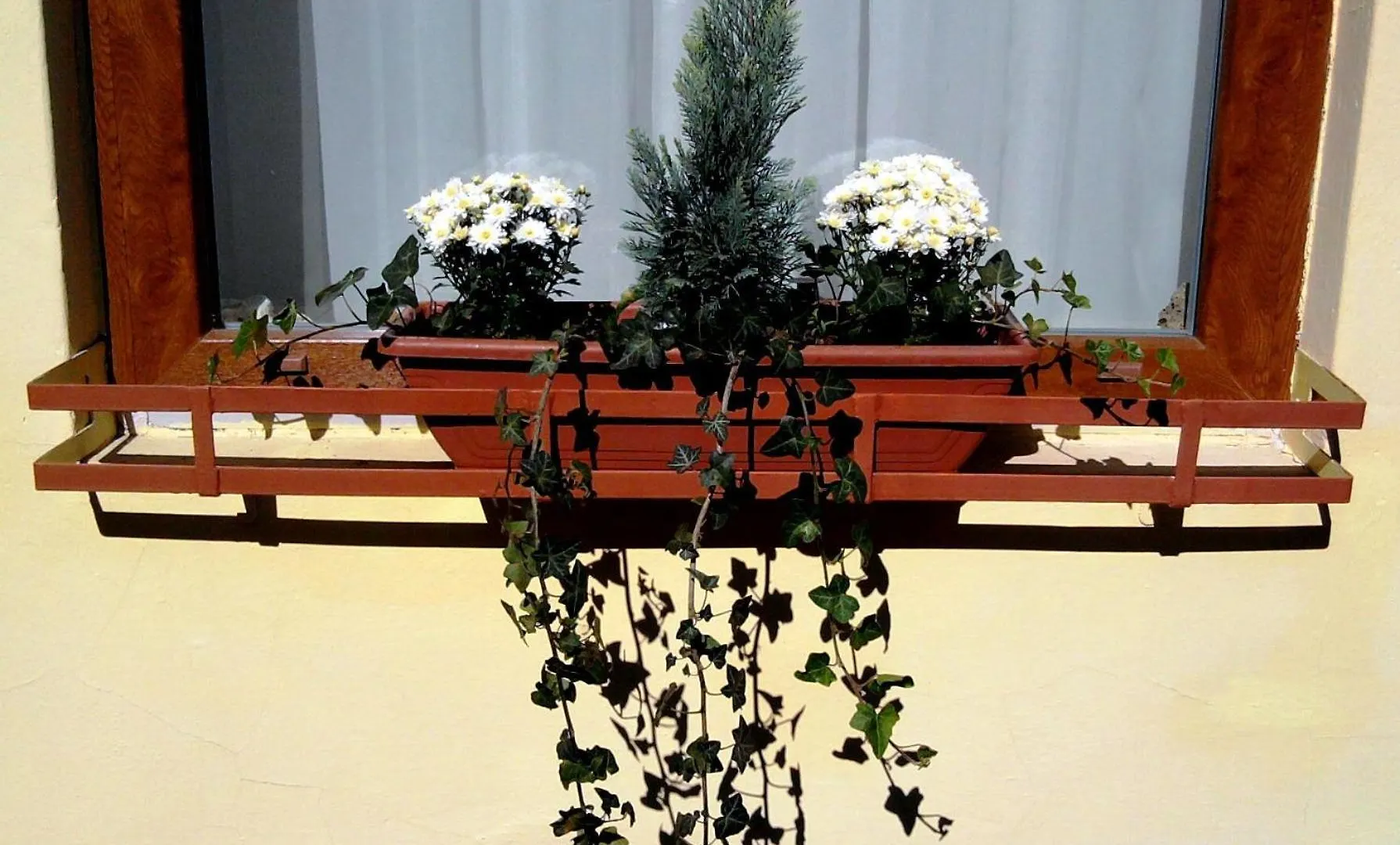 Gyoengyszem Vendeghaz Hotel Eger Guest house