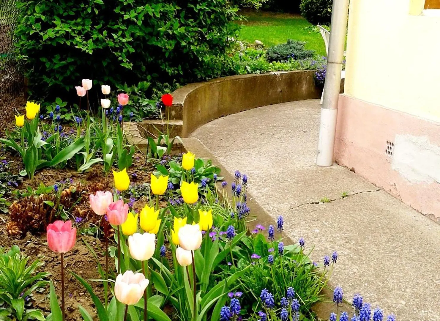 Guest house Gyoengyszem Vendeghaz Hotel Eger