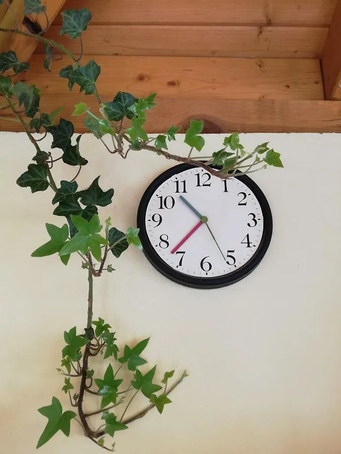 Gyoengyszem Vendeghaz Hotel Eger Guest house