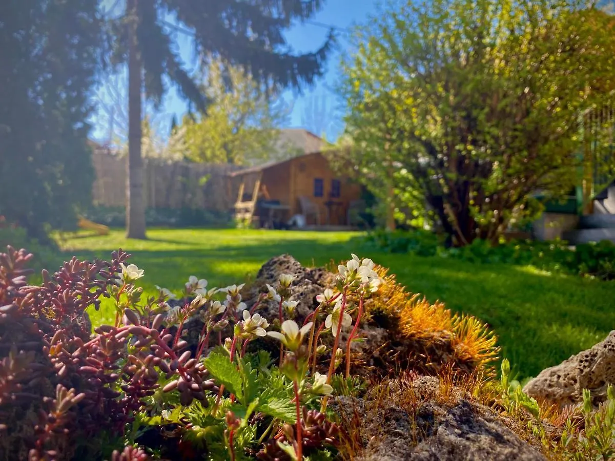 Gyoengyszem Vendeghaz Hotel Eger Guest house